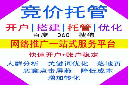 竞价广告的投放策略与效果评估——以一成功企业为例